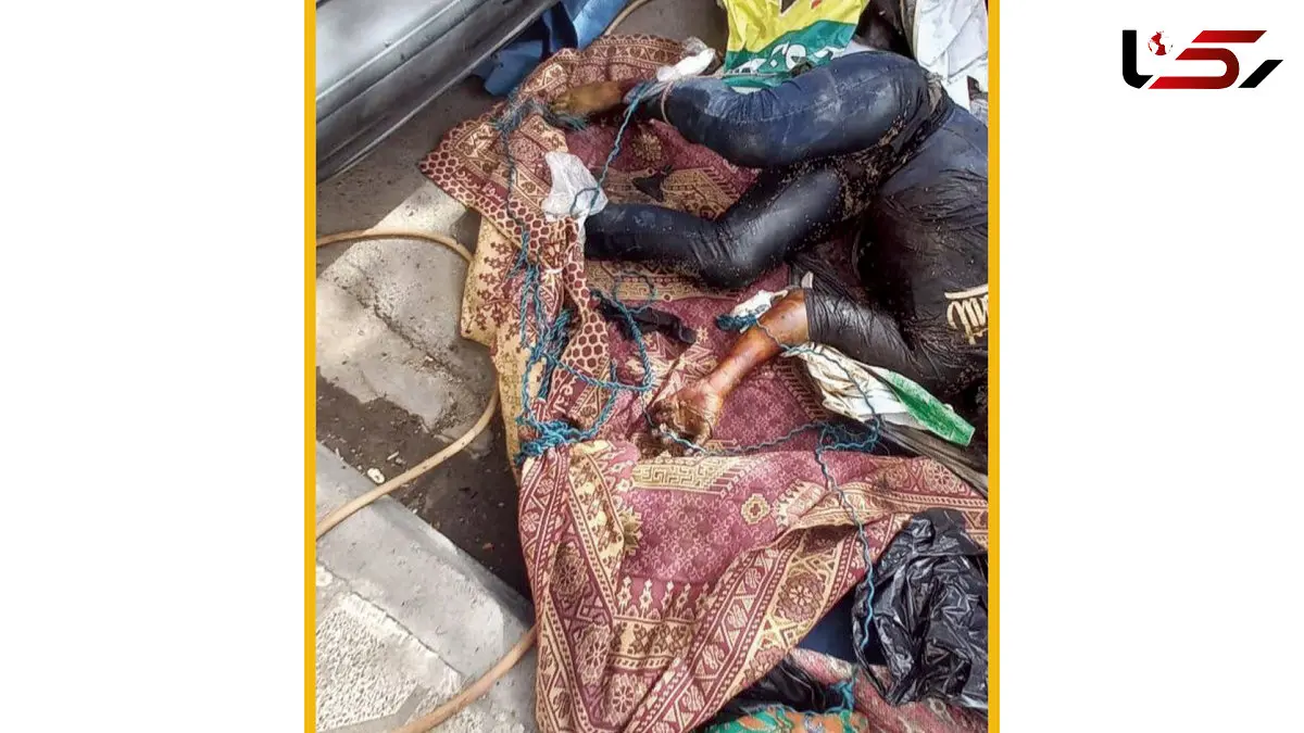 رد کرم‌های سفید به جسد طناب‌پیچ شده رسید / معمای هولناک جنایی در خیابان توس مشهد