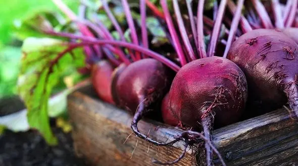 خواص ضدپیری در لبوی داغ