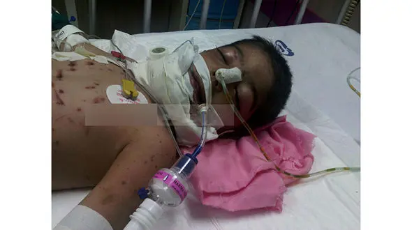 گرگ سازمان محیط زیست کودک 3 ساله را به دندان گرفت و برد! / متین با مرگ می جنگد +عکس