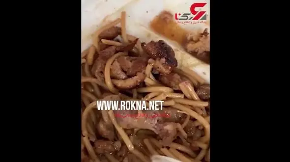 موش مرده در ظرف غذای یک زن آمریکایی دردسر درست کرد +فیلم