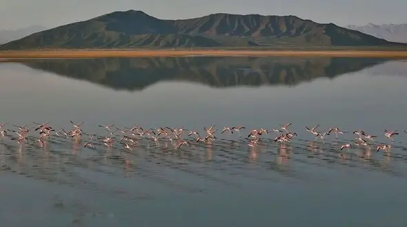 ۵ درصد از تالاب گاوخونی آبگیری شد