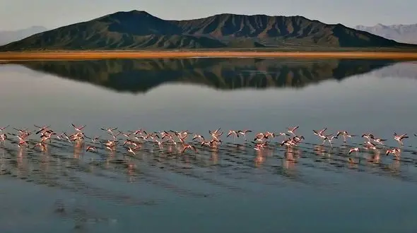 ۵ درصد از تالاب گاوخونی آبگیری شد