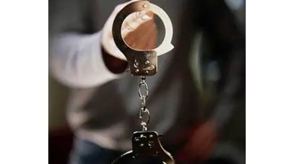 سارقان حرفه ای منازل غرب تهران دستگیر شدند