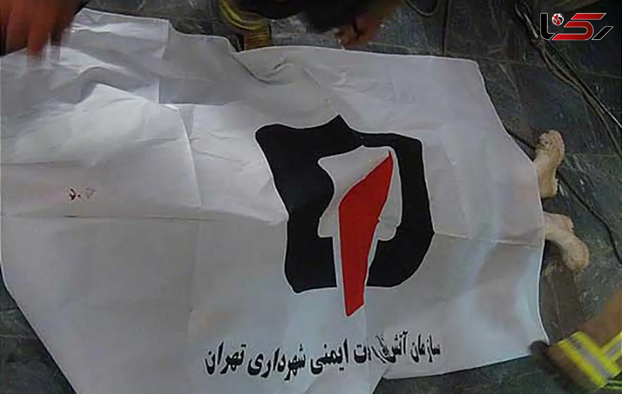 میهمانی مرگ در استخر خانه ویلایی /جسدروی آب پیدا شد