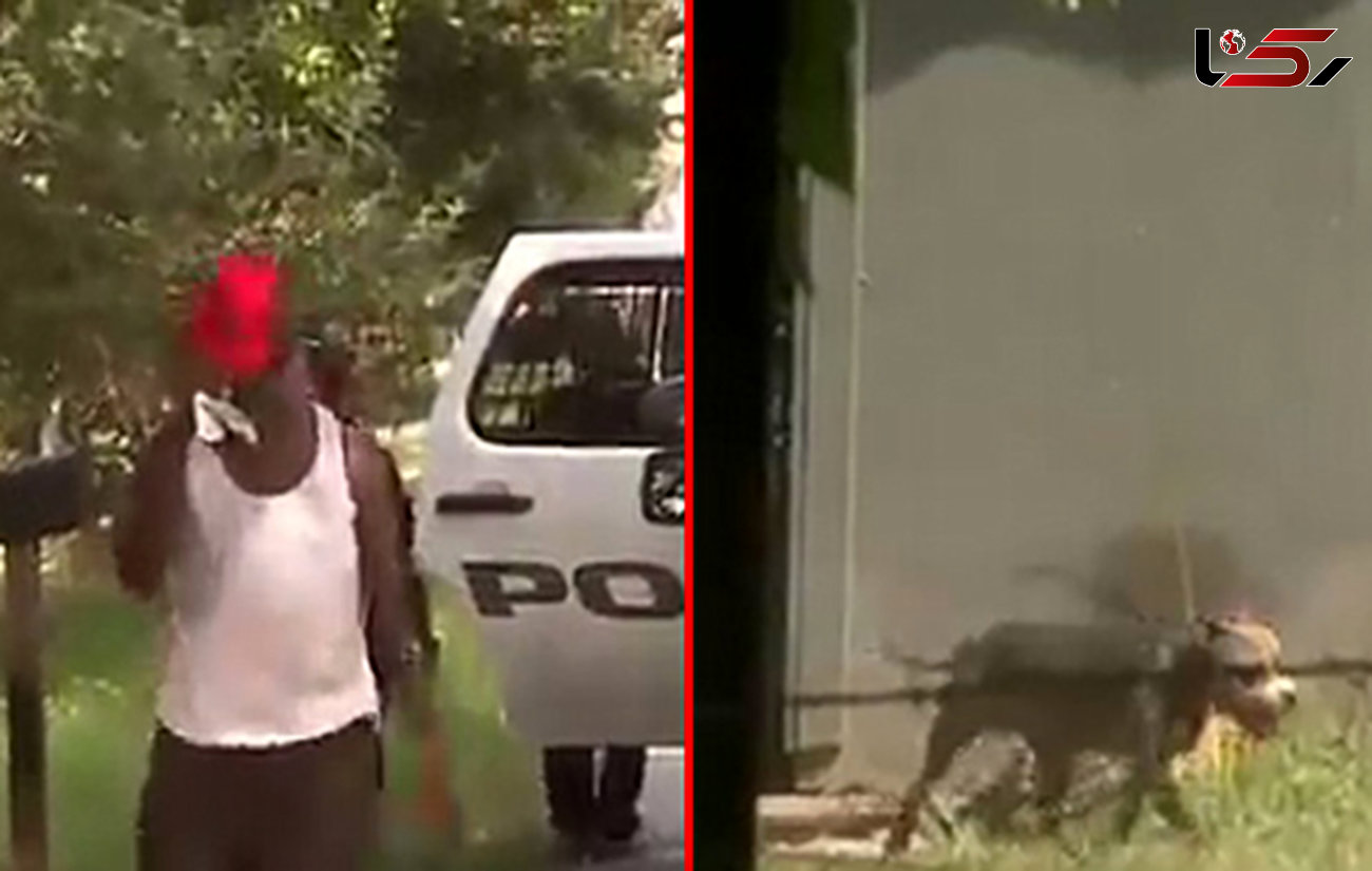 شلیک مرگبار به همسایه بخاطر بدرفتاری با سگ +عکس