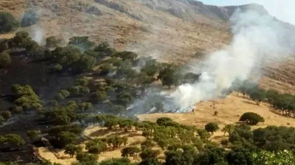 خاموش کردن آتش با بیل و خاک