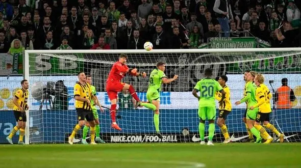 زنبورها در قلعه سبز گرگ ها شکار شدند