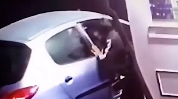 فیلم لحظه سرقت موبایل یک زن از داخل 206 در تهران