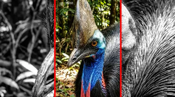 فیلم کاسواری ها تولید صدا تا فاصله ۴ کیلومتر