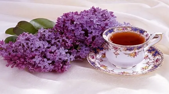 دمنوش های کنترل کننده تب بدن