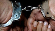 بازداشت دزدان حرفه ای در مرودشت