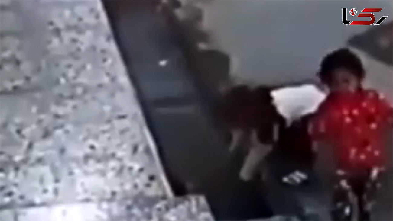 فیلم باور نکردنی از لحظه نجات کودک یک ساله در اهواز + گفتگو با فداکار 7 ساله ایران 