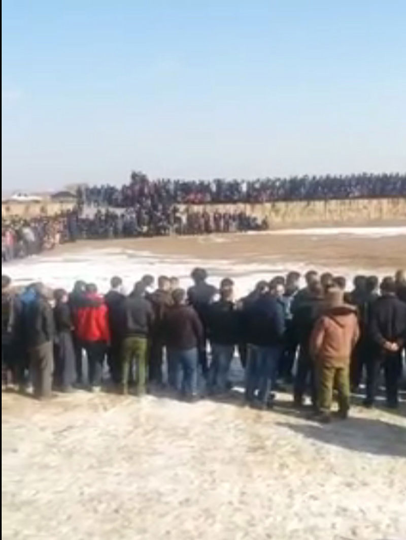  مسابقه جنگ سگ ها در روستای کردلر شهرستان اسکو