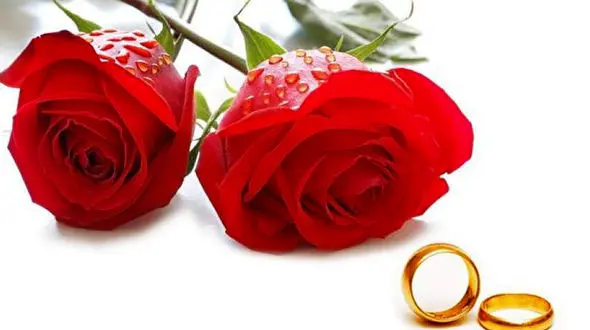 این زن 23 بار عروس شده است ! + عکس های عروس خانم را ببینید