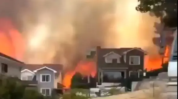 فیلم تلخی از آتش سوزی مهیب ترکیه
