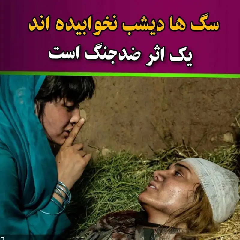 فیلم های مشترک ایران و افغانستان 