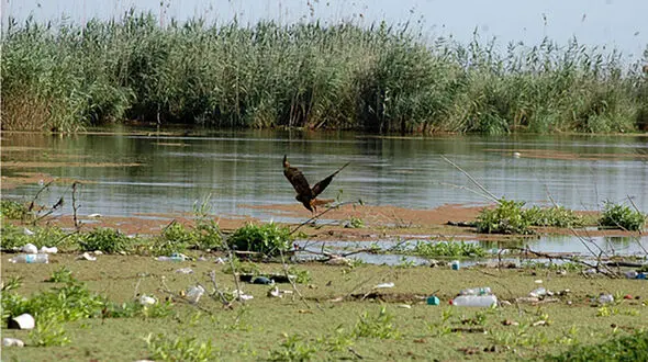 حال تالاب انزلی خوب نیست