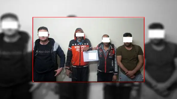 این 4 مرد گرانترین گوجه فرنگی ها را جا به جا می کردند +عکس