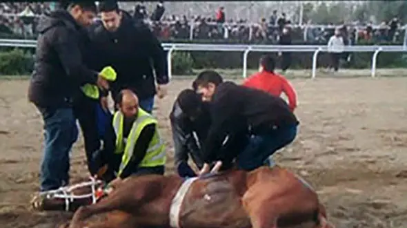 حادثه خونین در کورس اسب‌دوانی گنبد + عکس
