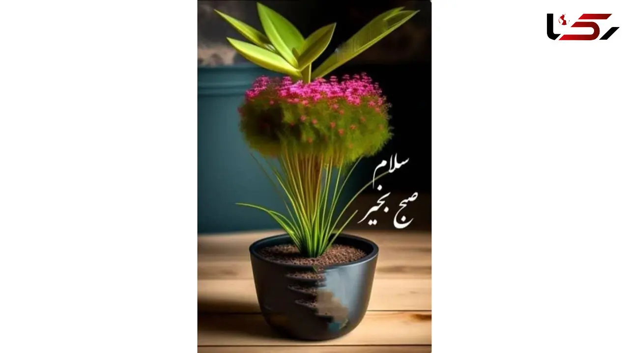 فال و طالع بینی اول خرداد