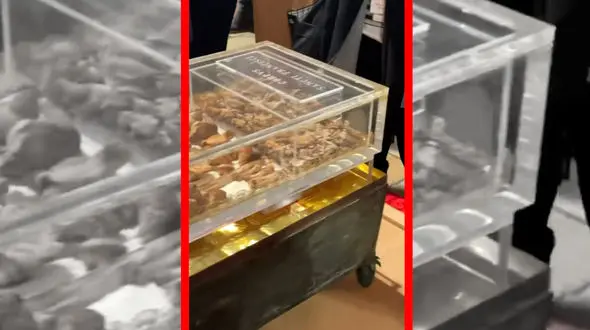 فیلم نمایش بقایای پیکر قدیس پس از ۸۰۰ سال در ایتالیا