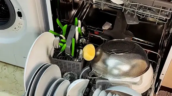 از شاخ به شاخ گاومیش ها تا ترفند برق انداختن شیر آلات