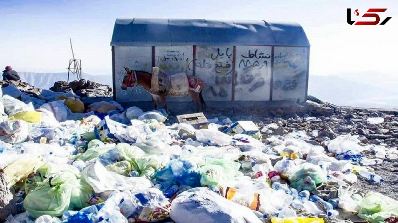آقای «کلانتری» زباله های کوهنوردان دماوند را به نابودی کشانده است + فیلم