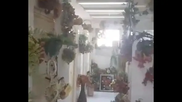 متفاوت‌ترین سرویس بهداشتی جهان در ایران ! + فیلم 