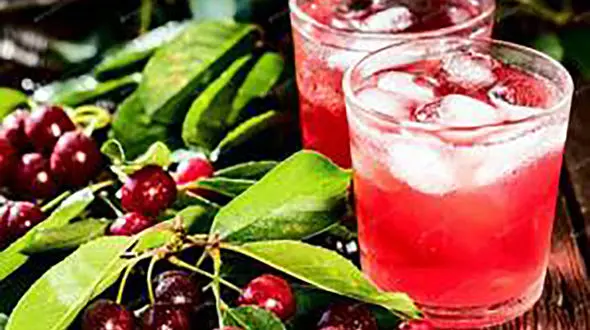 با این دستور، شربت آلبالوی خوشمزه و تازه بسازید