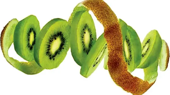 کیوی را کنار سیب نگذارید زیرا ... 