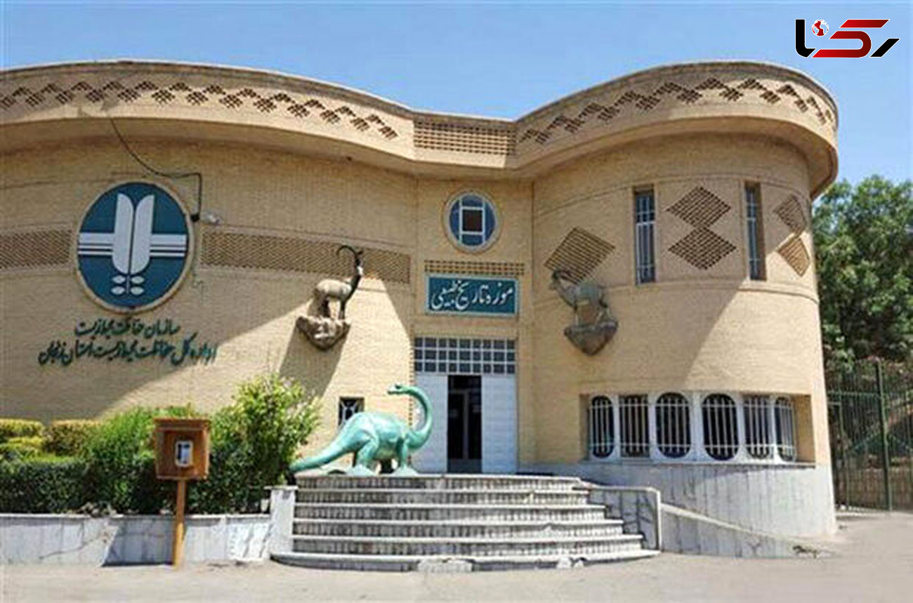 بازدید رایگان از موزه طبیعی زنجان در هفته محیط زیست 