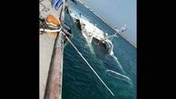فیلم لحظه غرق شدن کشتی دنا در  کیش / علت اعلام شد + عکس