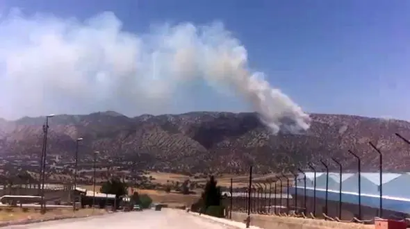  جنگل های ششدار ایلام در آتش سوخت + فیلم