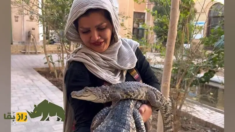 فاطمه نیکوروش