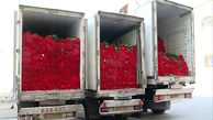 مهریه درد سرساز  / یک میلیون و صد شاخه گل با 11 کامیون شهر کرمان را به هم ریخت + عکس