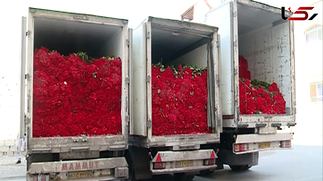 مهریه درد سرساز  / یک میلیون و صد شاخه گل با 11 کامیون شهر کرمان را به هم ریخت + عکس