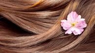 اشتباهاتی که در انتخاب نرم کننده موی سر مرتکب می شوید
