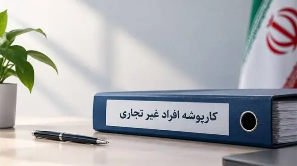 کارپوشه غیرتجاری؛ بستر ارائه خدمات مالیاتی به عموم مردم