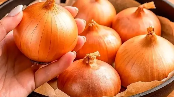 شام کم کالری و خوش طعم با پیاز؛ روشی آسان برای آشپزی سریع