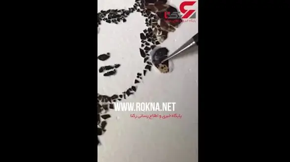 ساخت اثر مونالیزا با تخم بلدرچین+فیلم