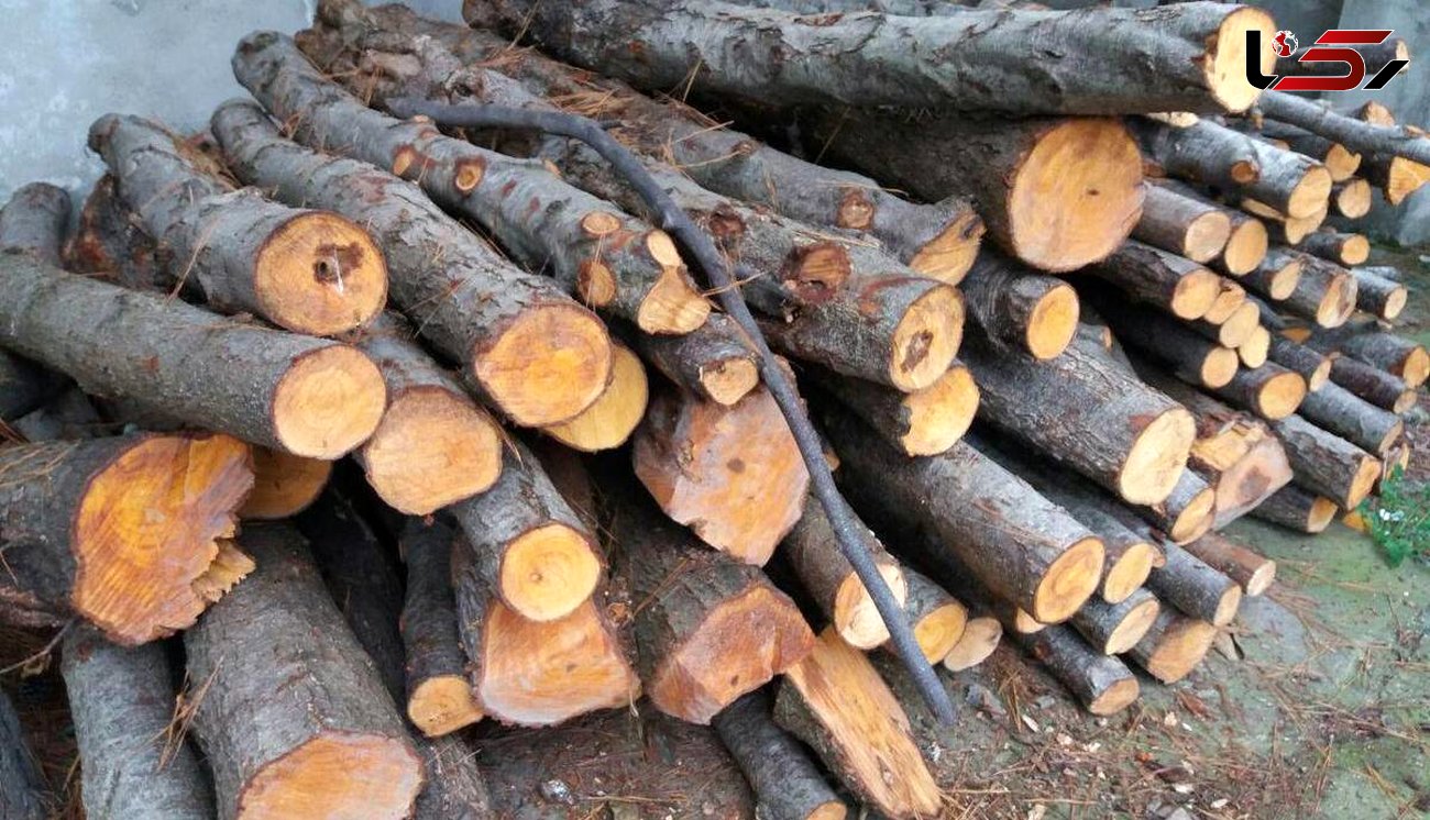 کشف بیش از 12 تن چوب قاچاق در الیگودرز