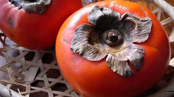 4 خاصیت بی نظیر خرمالو