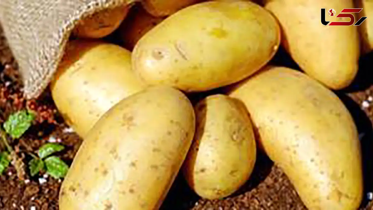 باورهای غلط درباره سیب زمینی + روش‌ های سالم پخت سیب زمینی