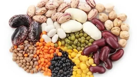 نرخ انواع حبوبات غیر شرکتی در بازار امروز