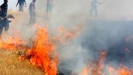 دستگیری عاملان آتش سوزی مزارع کشاورزی در خرم آباد