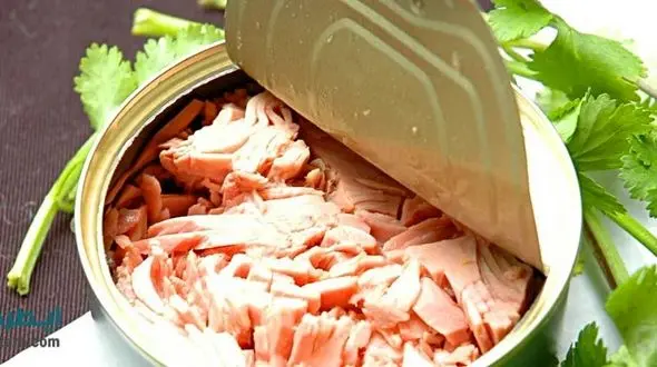 تن ماهی فاسد چه نشانه هایی دارد؟/خطر مرگ در کمین مصرف کنندگان!