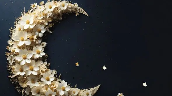 سازمان بهزیستی آماده دریافت زکات فطره هموطنان در سراسر کشور