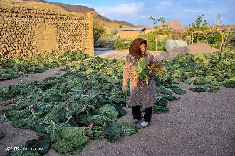 دشت زیبای ریواس 22