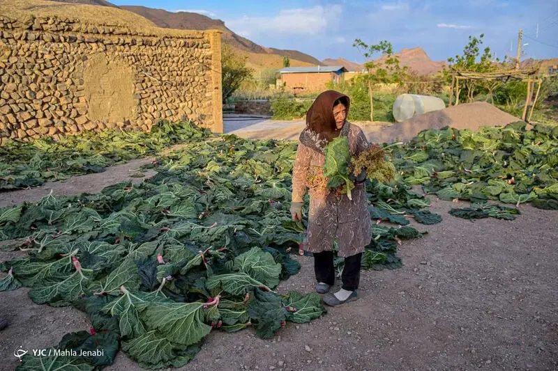 دشت زیبای ریواس 22