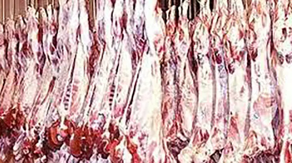 شقه گوسفندی کیلویی 110 هزار تومان!